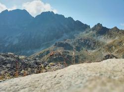 Photo Textures of High Tatras